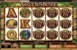 Tiger's Eye